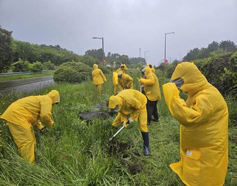 JDC 드림나눔봉사단2