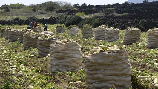 농어촌 균형 발전 지원
