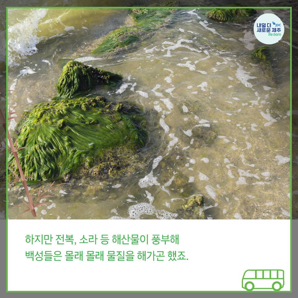 하지만 전복, 소라 등 해산물이 풍부해 백성들은 몰래몰래 물질을 해가곤 했죠.