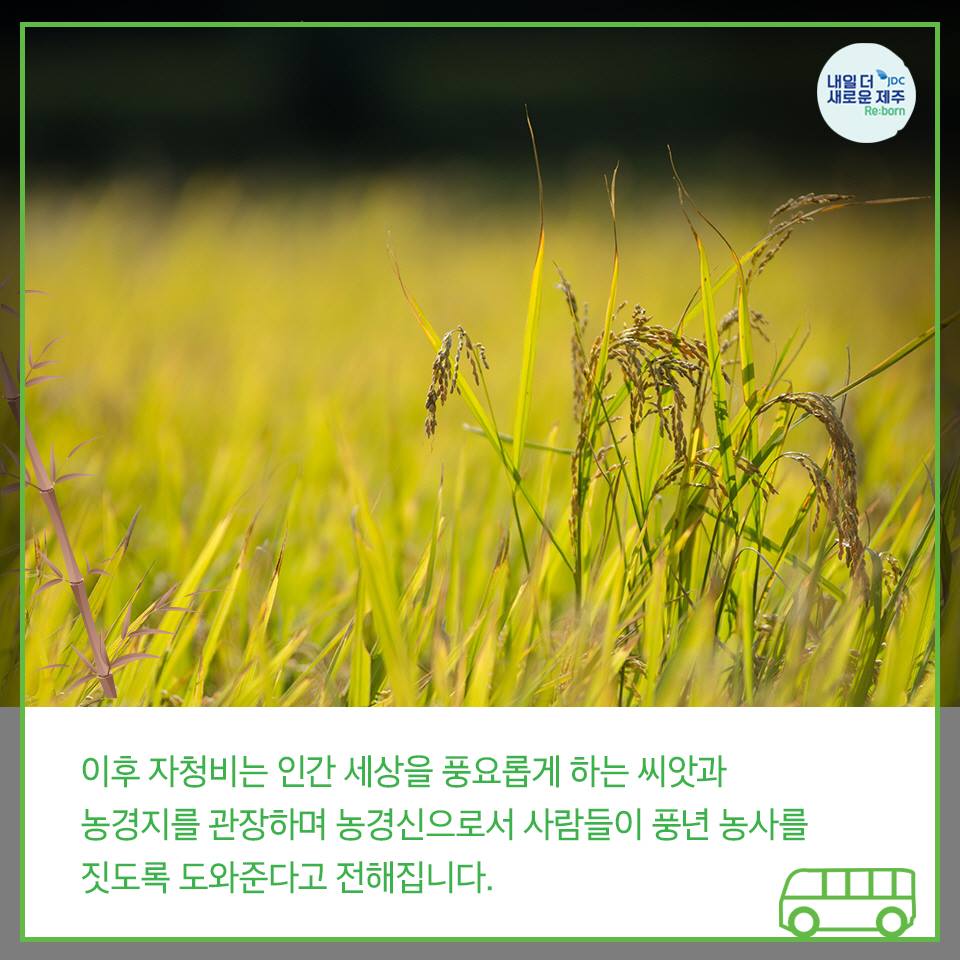 이후 자청비는 인간 세상을 풍요롭게 하는 씨앗과 농경지를 관장하며 농경신으로서 사람들이 풍년 농사를 짓도록 도와준다고 전해집니다.