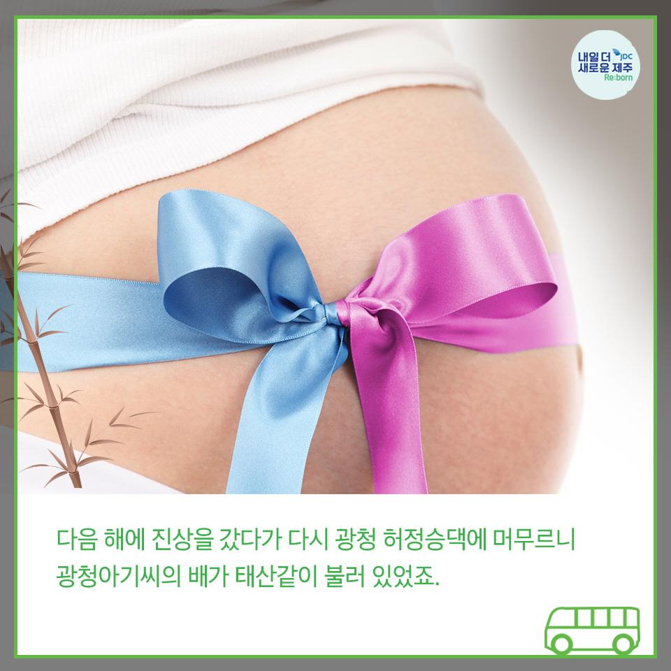 다음 해 진상을 갔다가 다시 광청 허증승댁에 머무르니 광청아기씨의 배가 태산같이 불러 있었죠.