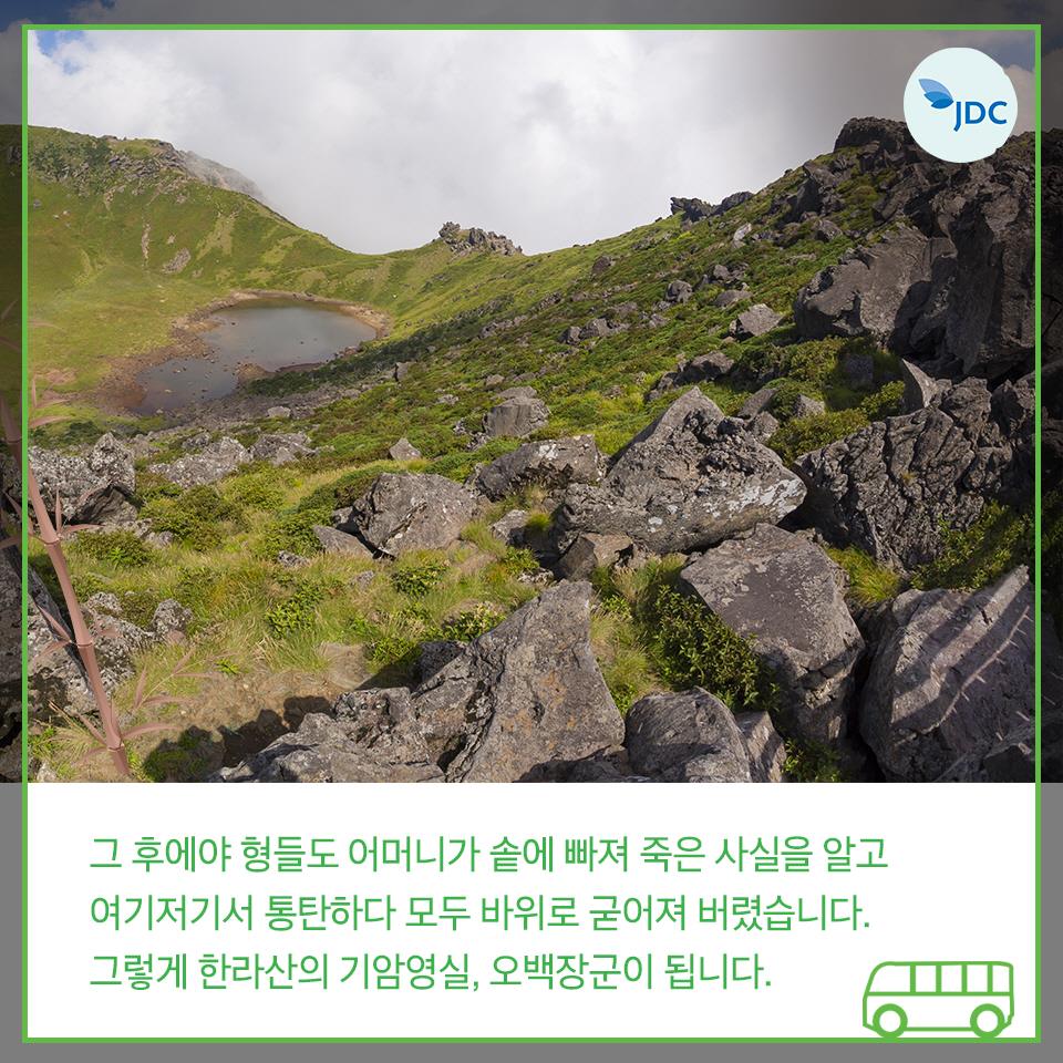 그 후에야 형들도 어머니가 솥에 빠져 죽은 사실으 ㄹ알고 여기저기서 통탄하다 모두 바위로 굳어버렸습니다. 그렇게 한라산 기암영실, 오백장군이 됩니다.