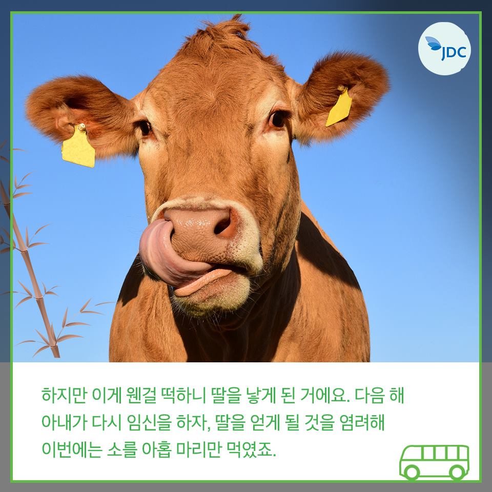 하지만 이게 웬걸 떡하니 딸을 낳게 된거에요. 다음해 아내가 다시 임신을 하자,딸을 얻게 될 것을 염려해 이번에는 소 아홉 마리만 먹였죠.