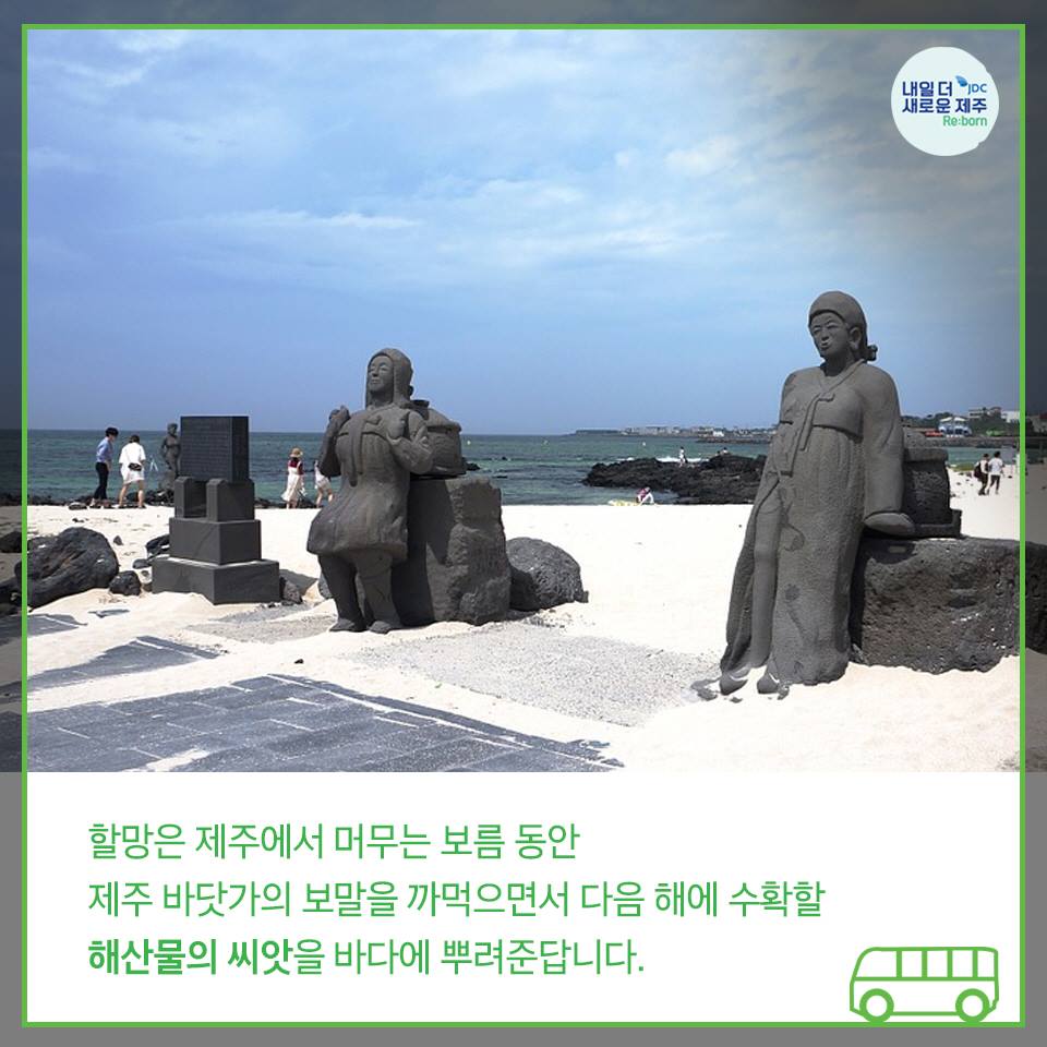 할망은 제주에서 머무는 보름 동안 제주 바닷가의 보말을 까먹으면서 다음 해에 수확할 해산물의 씨앗을 바달에 뿌려준답니다.