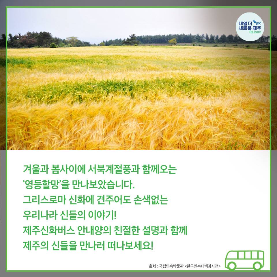 겨울과 봄사이에 서북겨절풍과 함께 오는 '영등할망'을 만나보았습니다. 그리스로마 신화에 견주어도 손색없는 우리나리 신들의 이야기! 제주신화버스 안내양의 친절한 설명과 함께 제주의 신들을 만나러 떠나보세요!