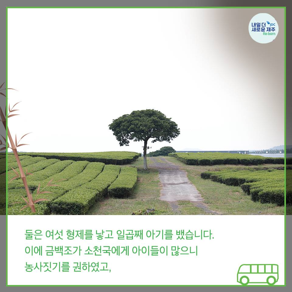 둘은 여섯 형제를 낳고 일곱째 아기를 뱄습니다. 이에 금백조가 소천국에게 아이들이 많으니 농사짓기를 권하였고,