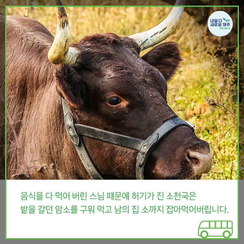 음식을 다 먹어 버린 스님 때문에 허기가 진 소천국은 밭을 갈던 암소를 구워 먹고 남의 집 소까지 잡아먹어버립니다.