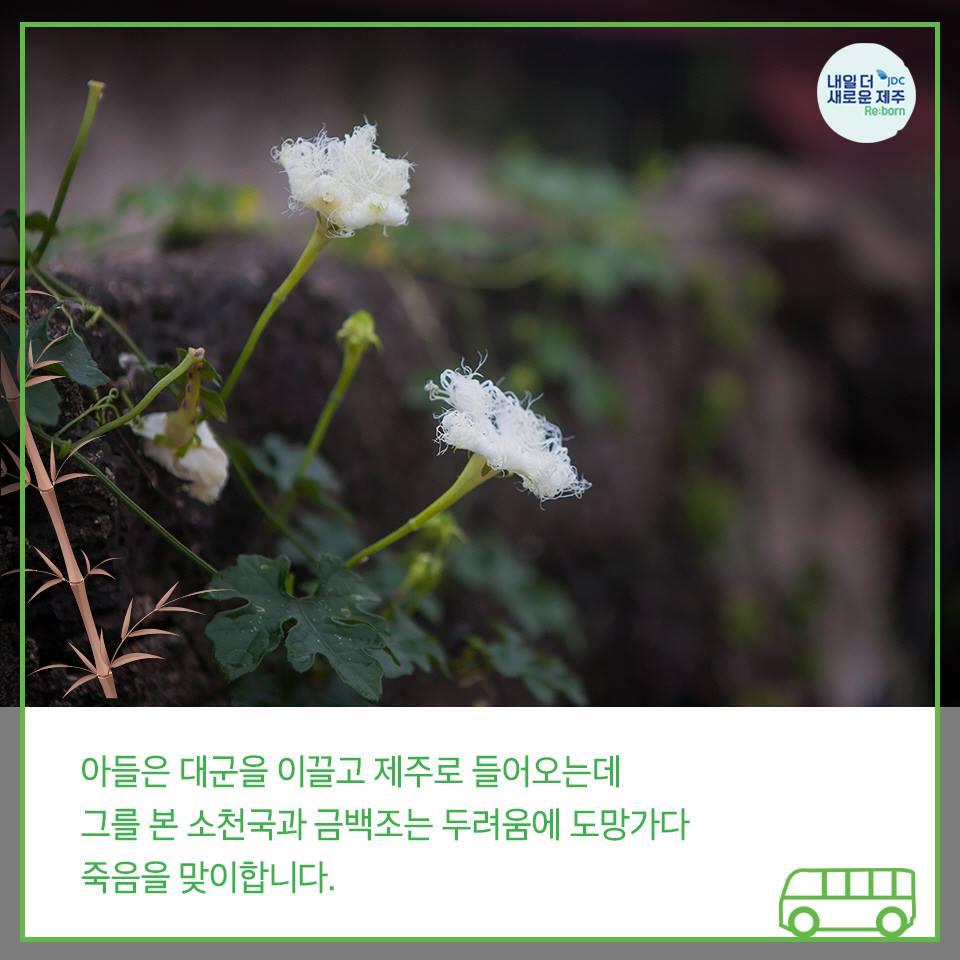 아들은 대군을 이끌고 제주로 들어오는데 그를 본 소천국과 금백조는 두려움에 도망가다 죽음을 맞이합니다.