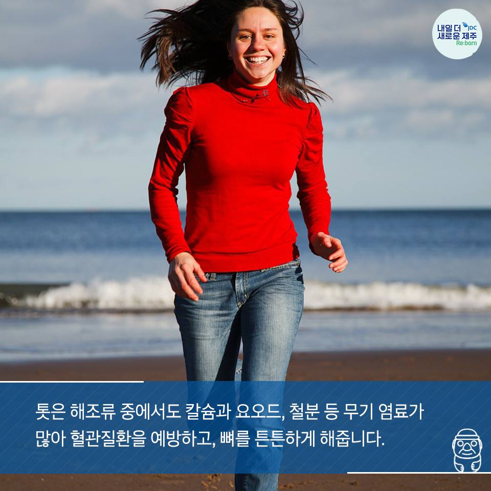 톳은 해조류 중에서도 칼슘과 요오드, 철분 등 무기 염료가 많이 혈관질환을 예방하고, 뼈를 튼튼하게 해줍니다.