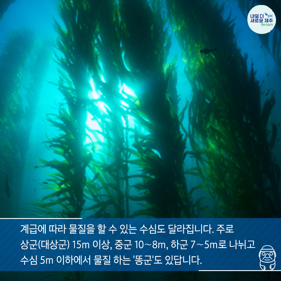 계급에 따라 물질을 할 수 있는 수심도 달라집니다. 주로 상군(대상군) 15m이상, 중군 10~8m, 하군 7~5m로 나뉘고 수심5m 이하에서 물질하는 '똥군'도 있답니다.