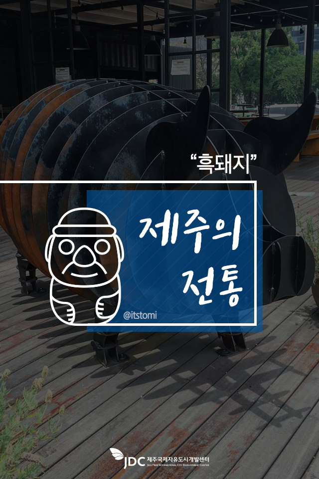 제주의 전통 흑돼지