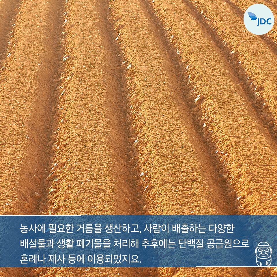 동사에 필요한 거름을 생산하고, 사람이 배출하는 다양한 배설물과 생활 폐기물을 처리해 추후에는 단백질 공급원으로 혼례나 제사 등에 이용되었지요.