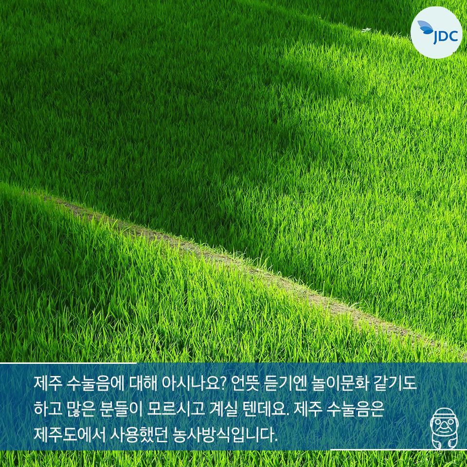 제주 수눌음에 대해 아시나요? 언뜻 듣기엔 놀이문화 같기도 하고 많은 분들이 모르시고 계실 텐데요. 제주 수놀음은 제주도에서 아용했던 농사방식입니다.