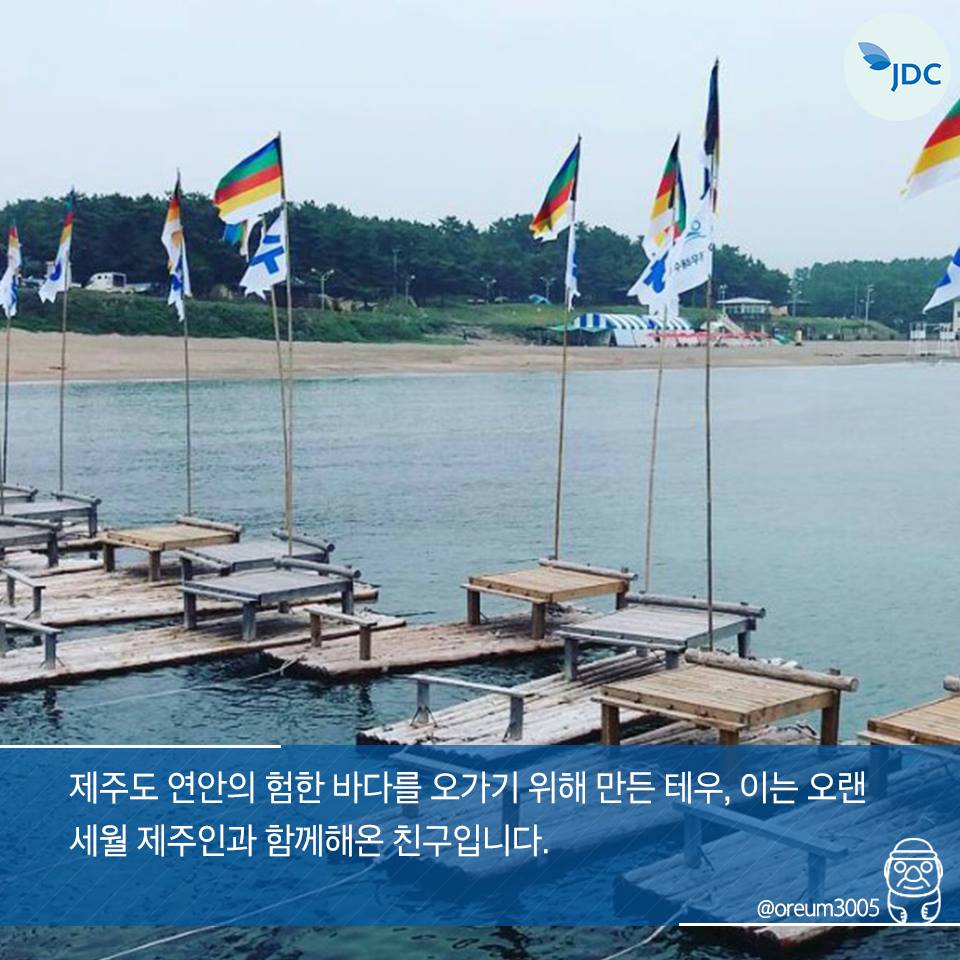 제주도 연안의 험한 바다를 오가기 위해 만든 테우, 이는 오랜 세월 제주인과 함께해온 친구입니다.