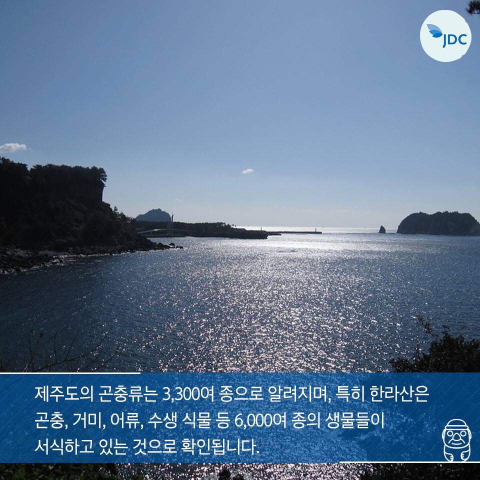 제주도의 곤충류는 3,300여 종으로 알려지며, 특히 한라산은 곤충,거미, 어류, 수생 식물 등 6,000여종의 생물들이 서식하고 있는 것으로 확인됩니다.