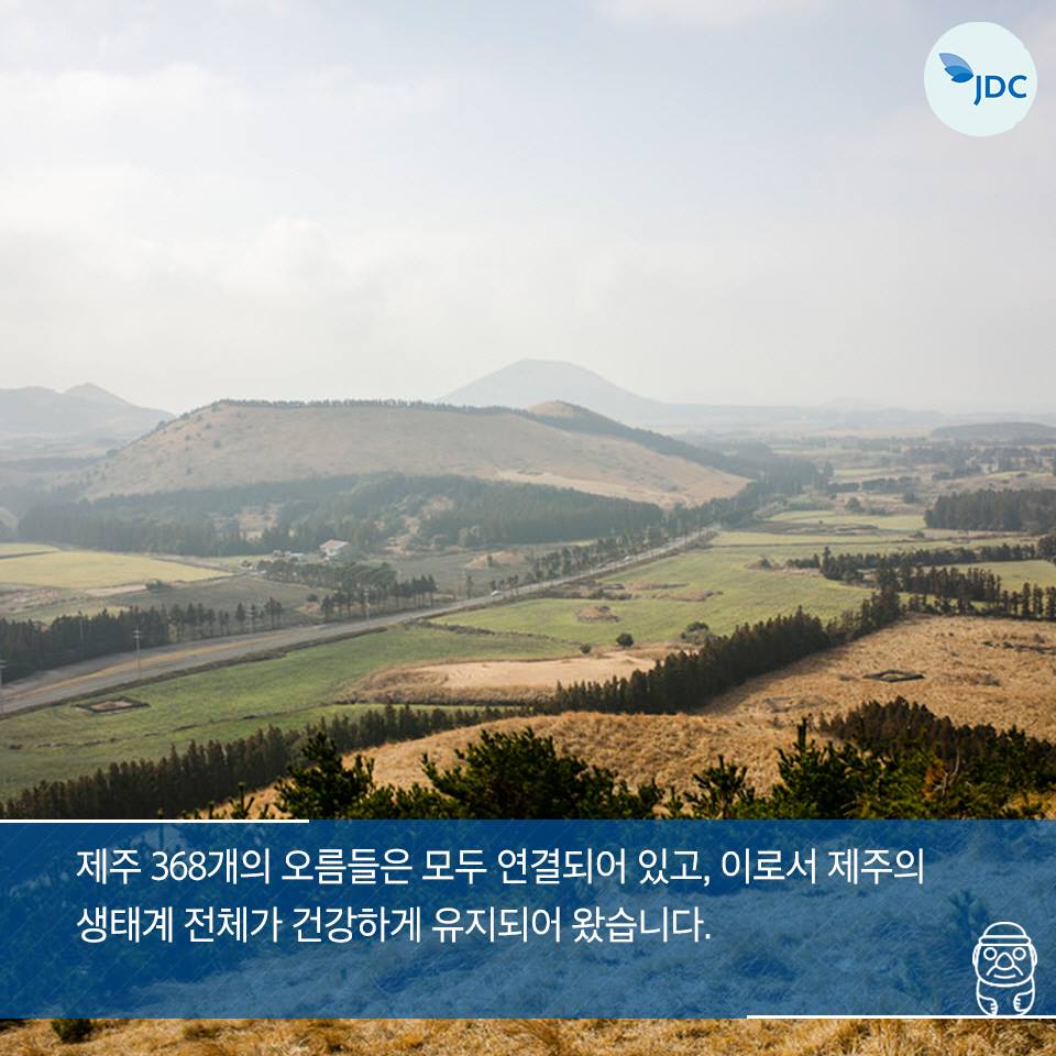 제주 368개의 오름들은 모두 연결되어 있고, 이로서 제주의 생태계 전체가 건강하게 유지되어왔습니다.